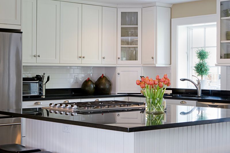 Kitchen Countertop Replacement in Lake County, IL